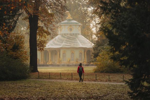 Eine Person spaziert im Herbst entspannt durch einen grünen Park, umgeben von Bäumen und Pflanzen.