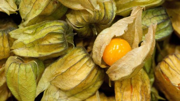 Physalis in Kombination eignet sich gut für eine Marmelade