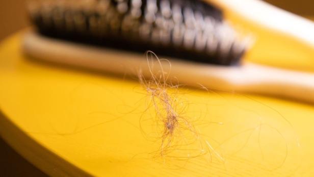 Fazit: Man bekommt den Großteil der Haare aus der Bürste, mit der Hand geht es aber besser