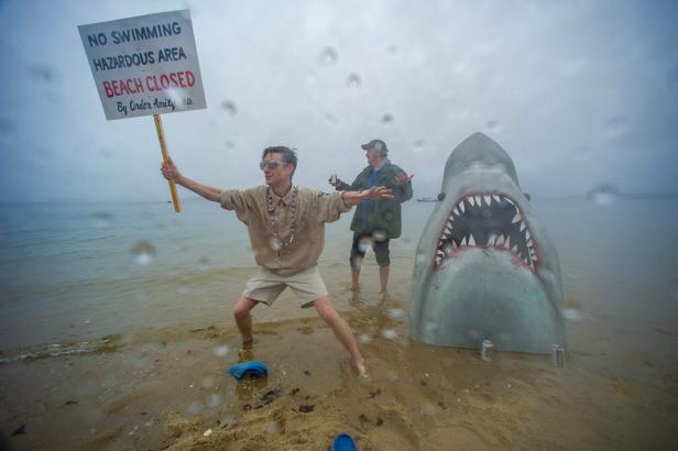 Eine Attrappe vom Haikopf auf einem Strand, daneben stehen Demonstranten