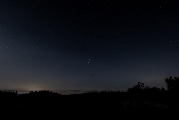 Sternenhimmel über dunkler Waldsilhouette mit einzelnen Sternschnuppen.