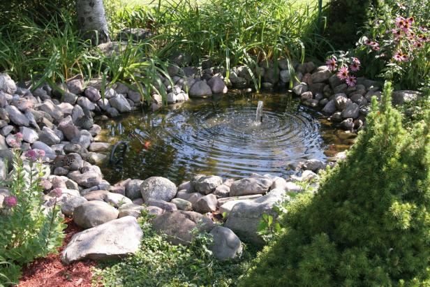 Aquatic garden Aquatic garden