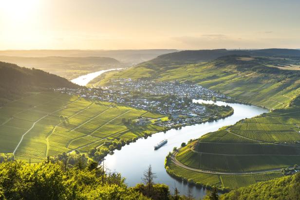 Blick auf die Mosel mit den Weinbergen drumherum und einer untergehenden Sonne 