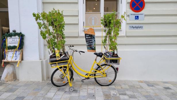 Ein gelbes Fahrrad mit Weinreben darin steht vor einer weißen Hauswand. 