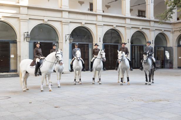 Besuch in der Spanischen Hofreitschule Besuch in der Spanischen Hofreitschule