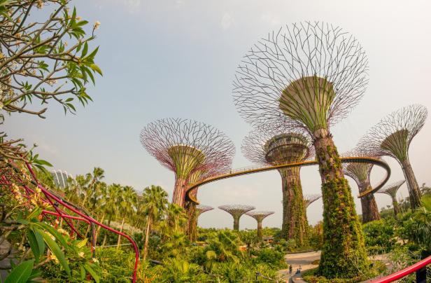 Gardens by the Bay Singapore