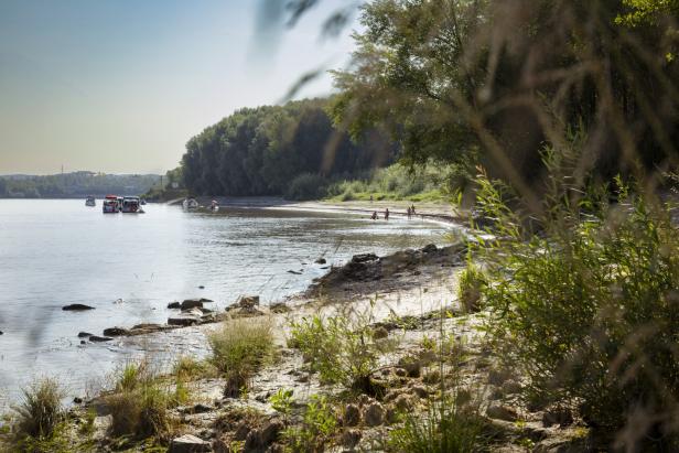 Die Donau formt sich zur Buchtt, ein langer Sandstrand, Boote ankern davor, Menschen gehen baden. Dahinter: eine Wand aus Pflanzen