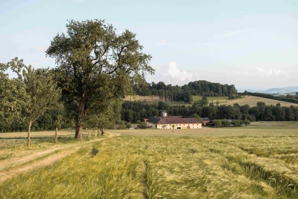 Bauernhof im Mostviertel