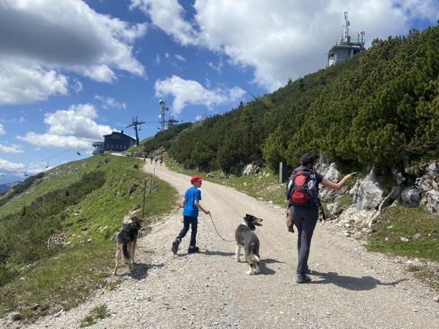 Eine Frau und ein Kind gehen mit ihren Hunden auf einem Wanderweg.