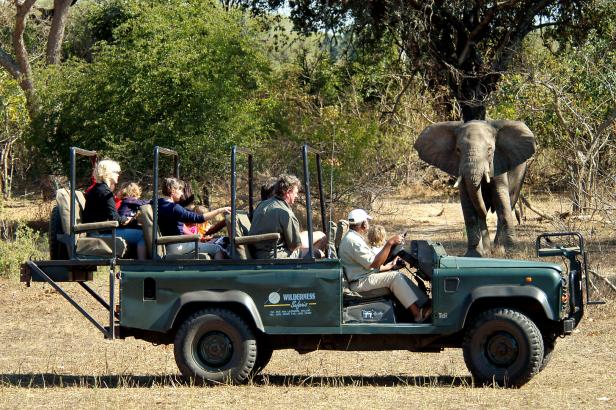 Safari in Malawi 46-213626827