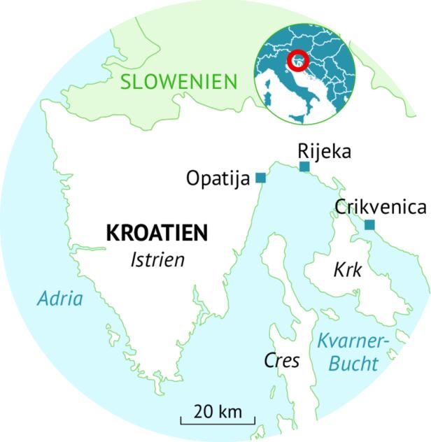 46-216808285