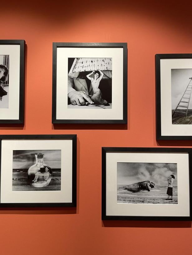 Bilder im Freud Museum
