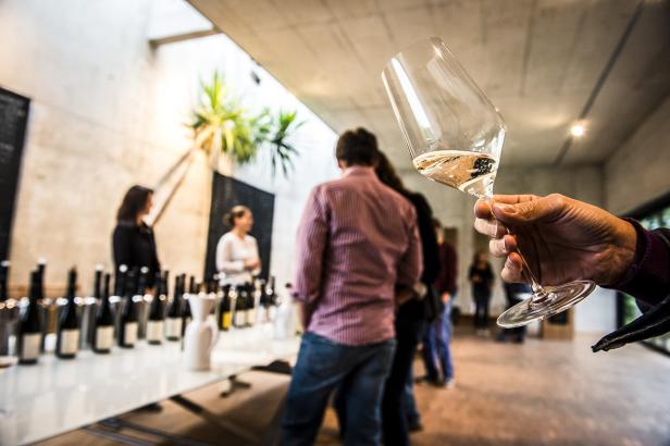 Eine Person hält ein Glas Weißwein bei einer Weinprobe in einem hellen Raum.