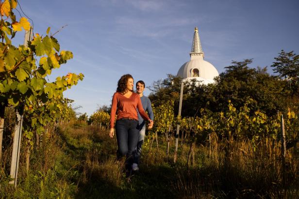 Ein Paar geht einen Weinberg am Wagram hinab. Über ihnen thront der Bau mit großer Kuppel.