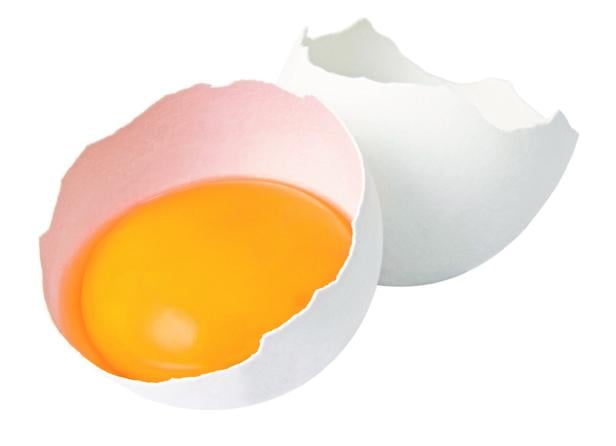 Broken Egg