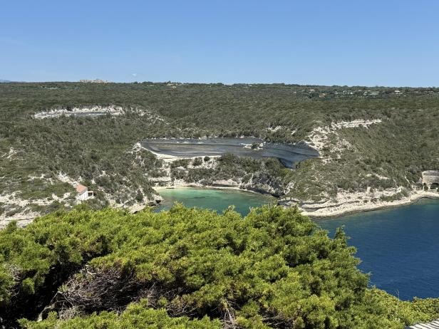 Immergrüne Macchia Die immergrüne Macchia legt sich wie ein Teppich über einen Großteil der Insel.