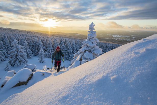 Person mit roter Mütze und grüner Jacke beim Schneeschuhwandern in verschneiter Winterlandschaft mit Tannenbäumen und Sonnenaufgang; Schneeschuhwandern im Harz 