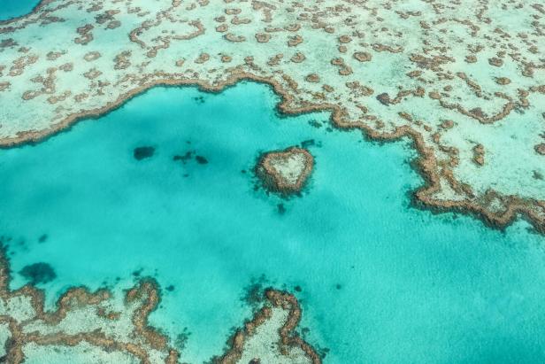 Das "Heart Reef" im Great Barrier Reef