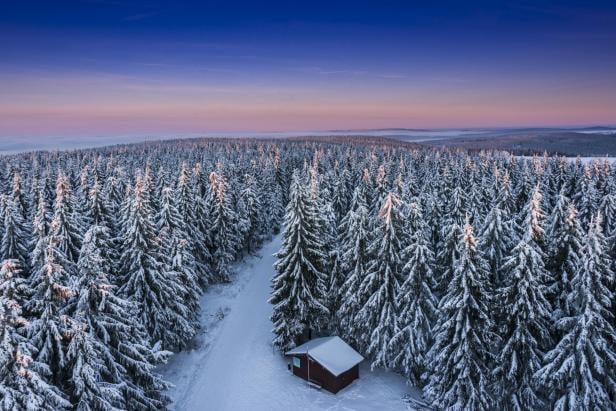 Ein schneebedeckter Tannenwald im Sonnenuntergang. 