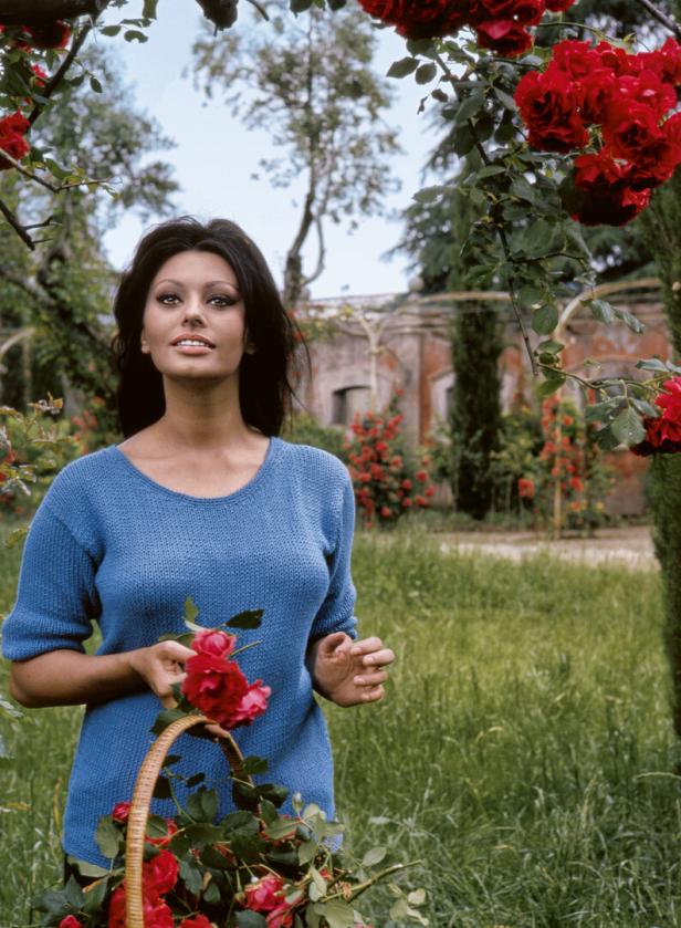 Sophia Loren mit einem Korb voller Rosen in ihrem Garten