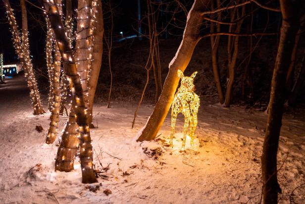 Lichterketten und beleuchtete Waldbewohner  weisen den Promenadenweg am Bach entlang.
