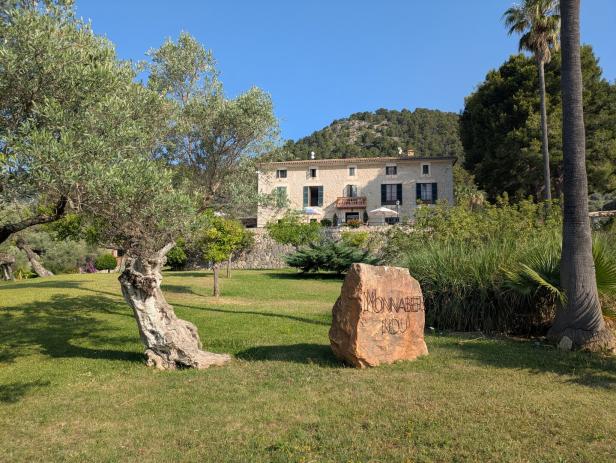 ein Landhaus in Mallorca mit einem Olivenbaum dabei