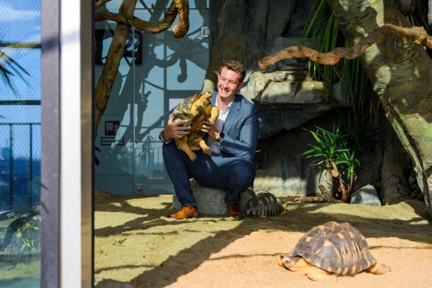 Ein Mann im Anzug hockt in einem Terrarium und hält eine Schildkröte, umgeben von weiteren Schildkröten.