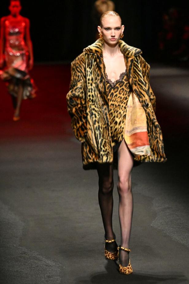 FASHION-ITALY-CAVALLI