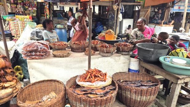 Floating Villa, Fischmarkt, Lagos, Nigeria