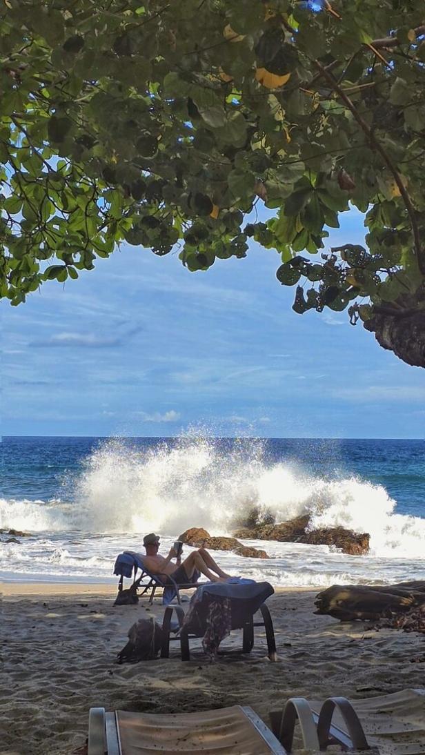 Ein Mann liest am Strand unter einem Baum, während Wellen gegen Felsen schlagen.
