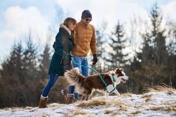 Ein Paar spaziert mit einem Hund an der Leine durch eine verschneite Landschaft.