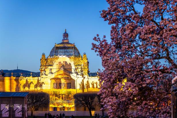 Beleuchtetes historisches Gebäude mit Lichtprojektionen und blühendem Baum im Vordergrund.