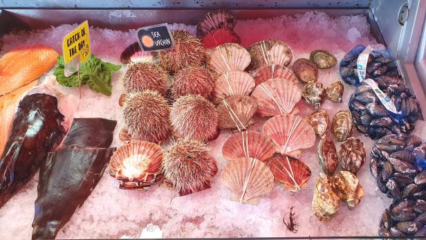 Auf Eis liegen frischer Fisch, Seeigel, Jakobsmuscheln, Austern und Miesmuscheln.