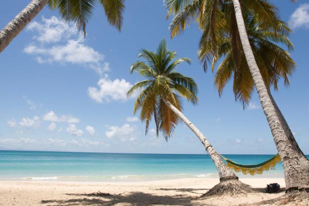 Palmen am Sandstrand mit einer Hängematte zwischen zwei Stämmen und türkisblauem Meer im Hintergrund.