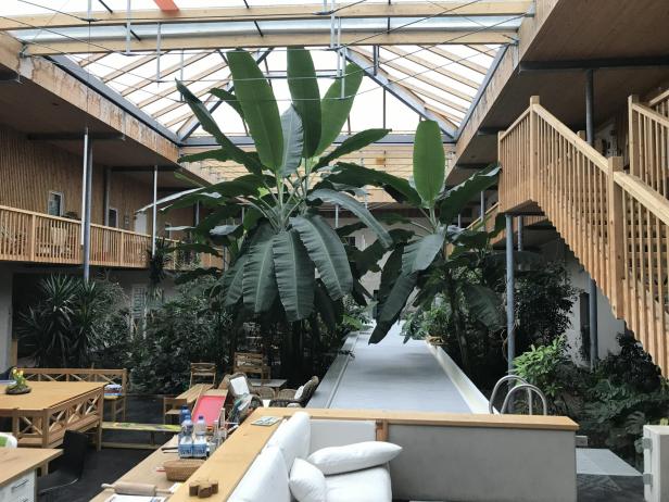 Große tropische Pflanzen wachsen in einem lichtdurchfluteten Innenraum mit Holzbalkonen und Sitzbereichen.