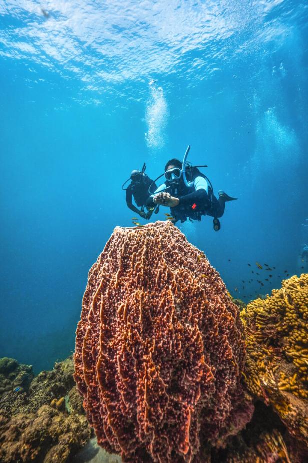 Gerätetaucher über einem orangenen Riffschwamm in der Karibik