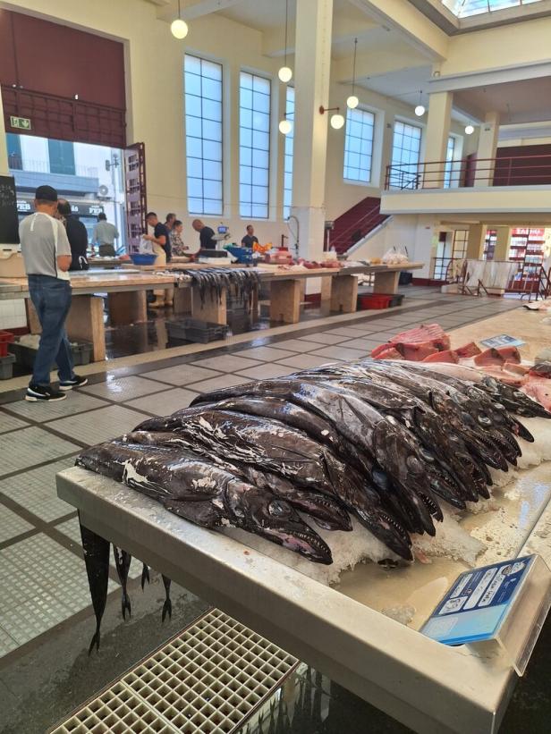 Auf einem Markt liegen lange, dunkle Fische auf Eis zum Verkauf.