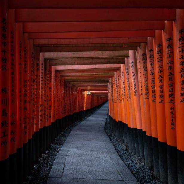 Ein langer Weg führt durch zahlreiche rote Torii mit schwarzen japanischen Schriftzeichen, die dicht aneinandergereiht stehen.