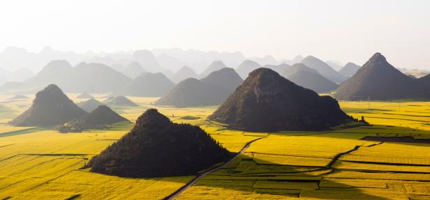 Gelbe Felder mit mehreren grünen Hügeln und Bergen im Hintergrund unter leicht dunstigem Himmel.