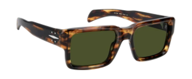 David Beckham Eyewear