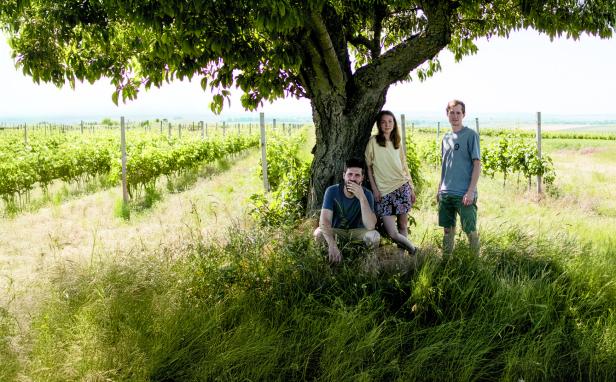 3 Personen vor einem Feld mit Weinreben