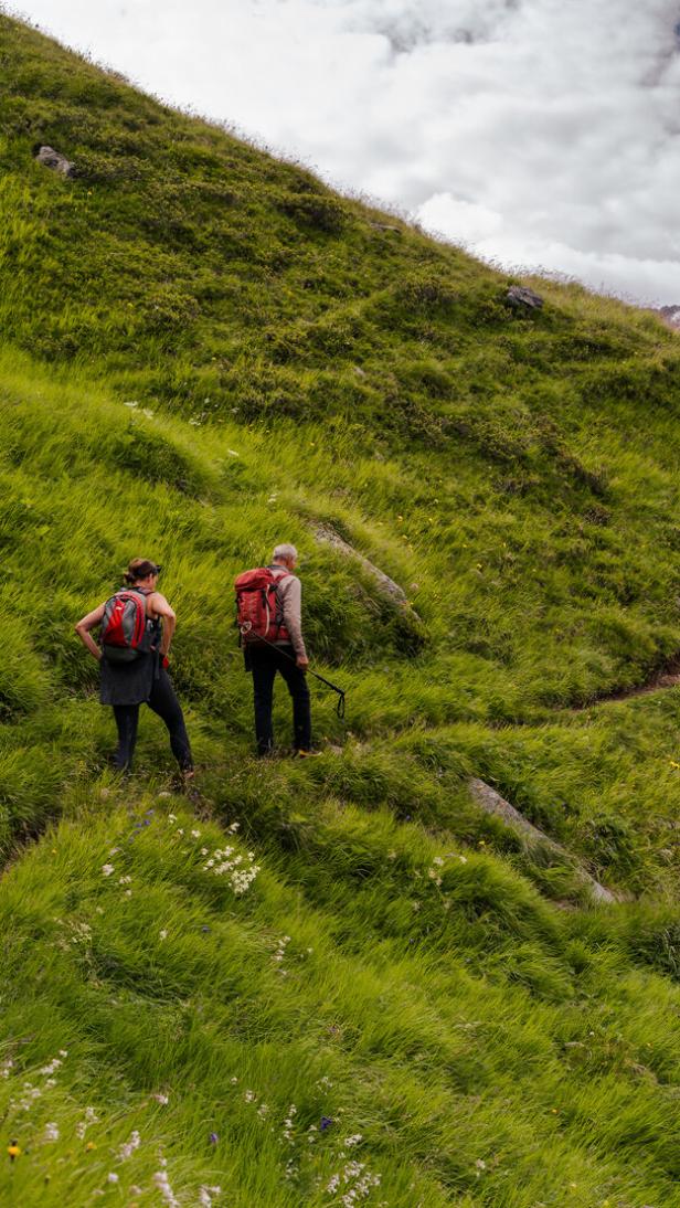 Zwei Menschen wandern auf einer Wiese