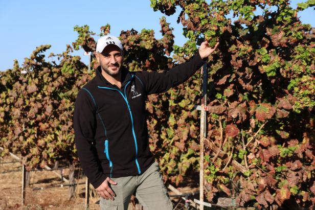 Winzer Michalis Skevofilax