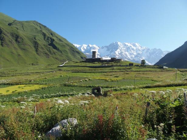 Grüne Wiesen mit einem Steinturm im Hintergrund, dahinter schneebedeckte Berge unter klarem, blauem Himmel.