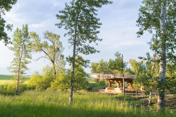Holzüberdachung steht inmitten einer grünen Wiese und wird von mehreren Bäumen umgeben.