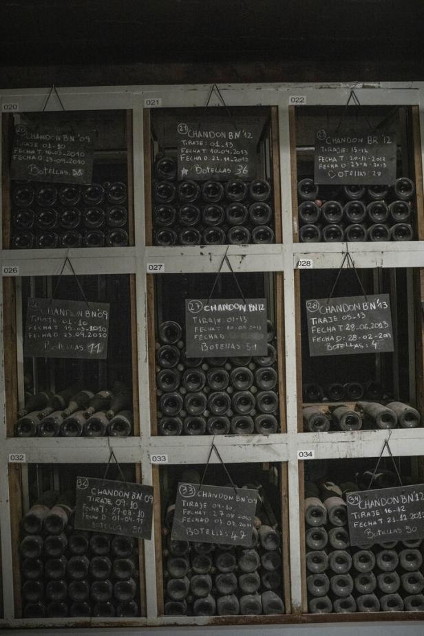 Mehrere Fächer mit liegenden Weinflaschen, jeweils mit einer kleinen Tafel mit handgeschriebenen Angaben zur Sorte und Anzahl.