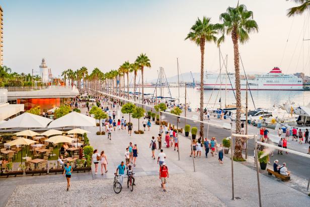 Palm tree lined promenade in downtown Malaga Spain