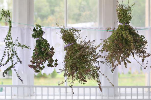 Herbs drying