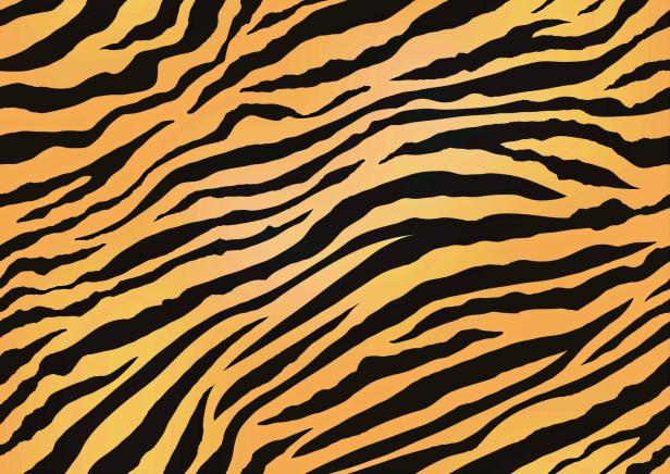 Horizontally And Vertically Repeatable Tiger Skin Seamless Vector Illustration.