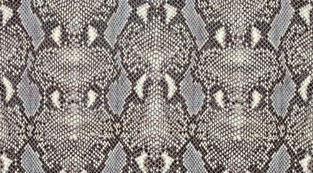 Textured background of genuine leather in python skin pattern